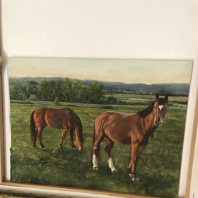 Jeden z oblíbených obrázků Míši Kuklové.