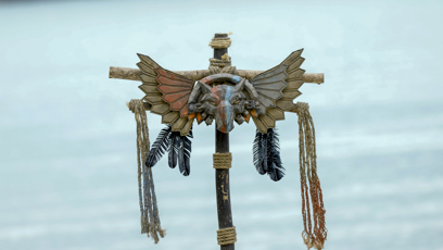 FOTO: Symbol imunity.