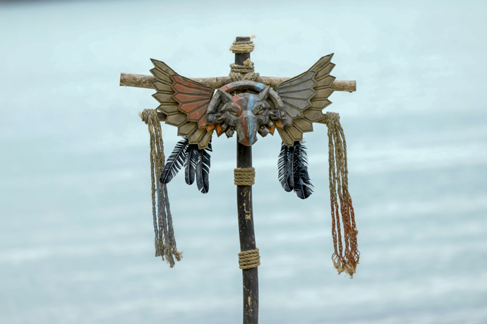 FOTO: Symbol imunity. – stránka 372