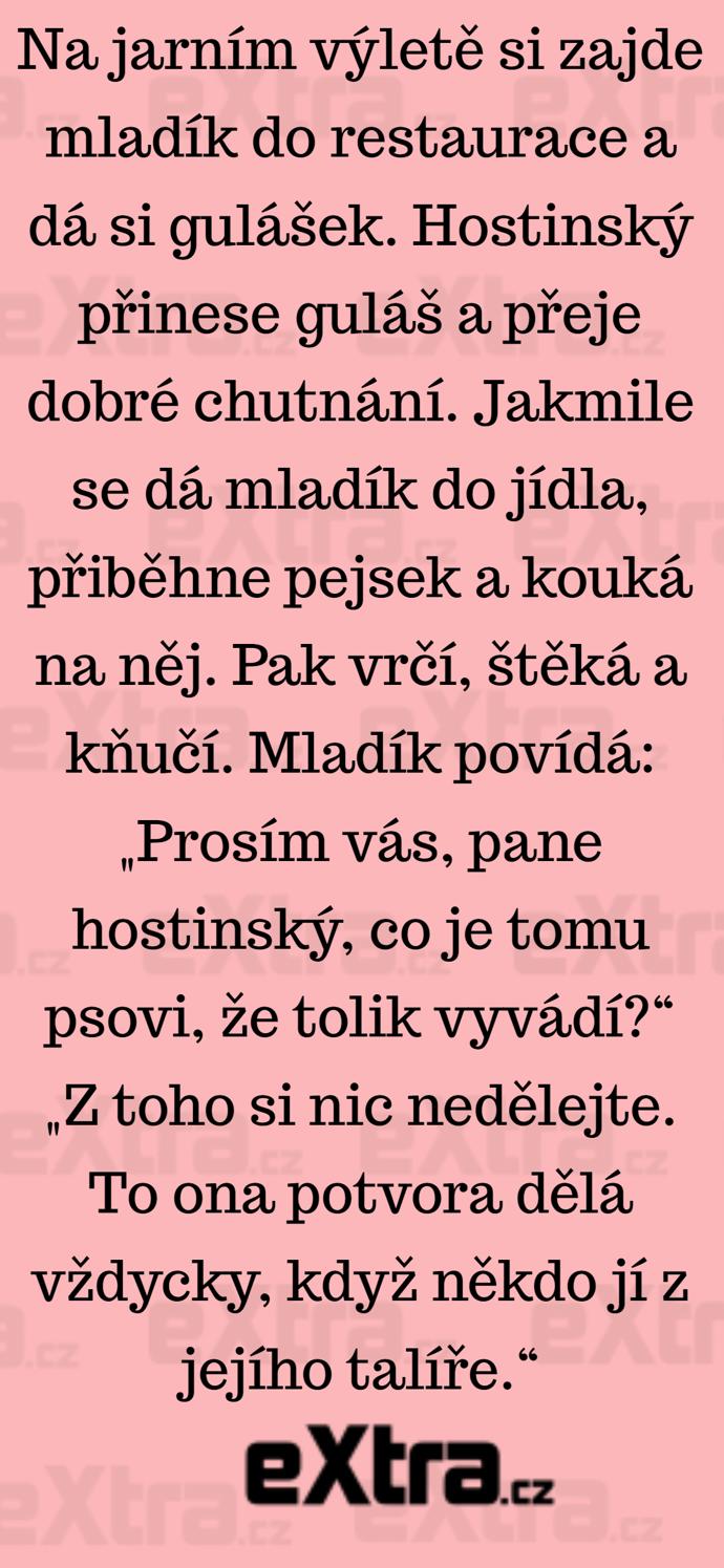 Foto k tématu Vtipy – stránka 305