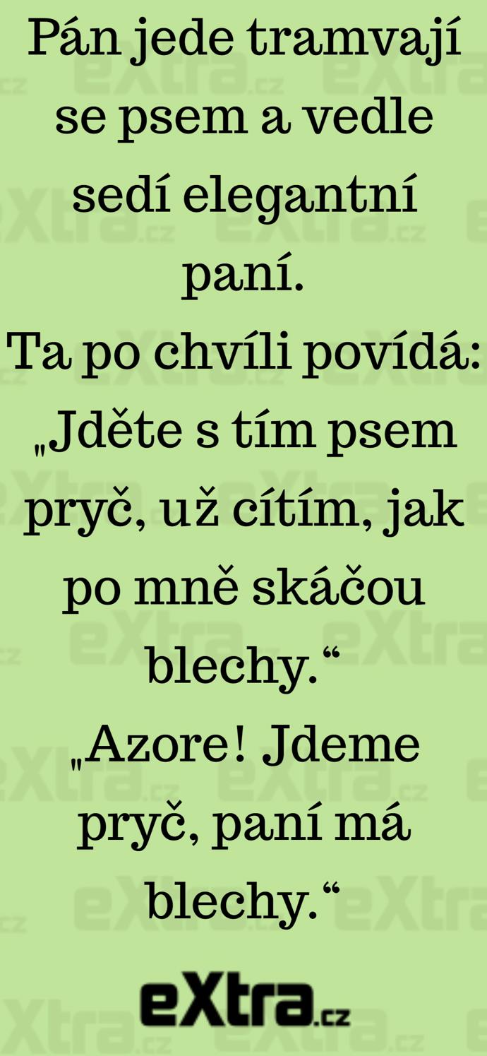 Foto k tématu Vtipy – stránka 297