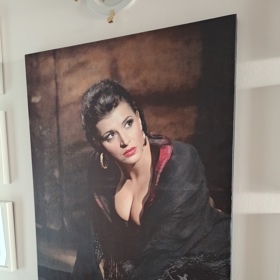 Carmen - dárek ke 40. narozeninám Andrey Kalivodové.