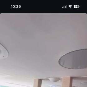 Na pražském letišti to vypadalo jako v džungli. 