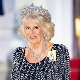 Camilla je také příbuznou mnoha známých tváří, například zpěvaček Madonny a Céline Dion nebo herečky Angeliny Jolie. Stejná krev jí putuje v žilách také s manželem Karlem.