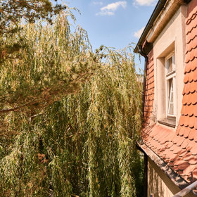 Kdysi bylo vidět i na ulici, ale vrba se dost rozrostla.