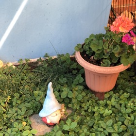 Trpaslík utopený v zeleni