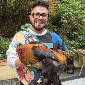 Módní návrhář Osmany Laffita nedávno dostal dárkem velkého brahma kohouta.