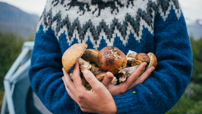 FOTO: Náruč plná hub.