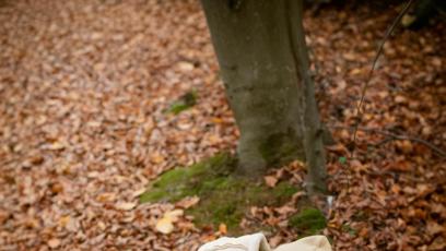 FOTO: Malá houbařka.