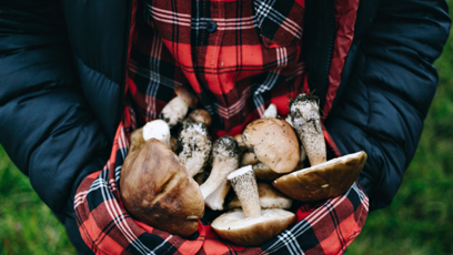 FOTO: Náruč plná hub.