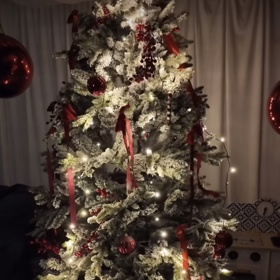 Agáta už má doma vánoční atmosféru.