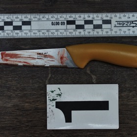 Nůž, kterým měla Aneta spáchat sebevraždu.