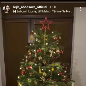 Takhle vypadá její stromeček.