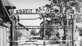 Utrpení Ruth Elias: Mengele jí nedovolil kojit novorozené dítě, trýzeň ukončilo až morfium