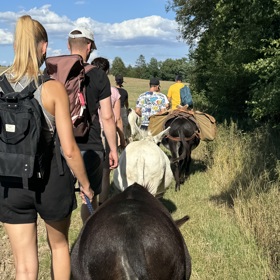 Procházka s oslíky a piknik v lese je opravdovým zážitkem. Oslíka si musíte získat, aby vás aspoň maličko poslouchal a netrucoval, že nepůjde dál.