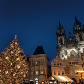 I v Praze na Staroměstském náměstí byl rozsvícen vánoční strom.