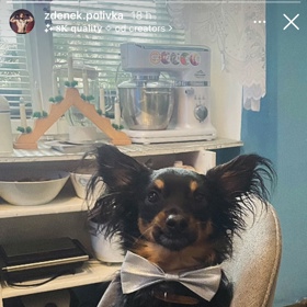 Na Zdeňka Polívku se těšil i pejsek.