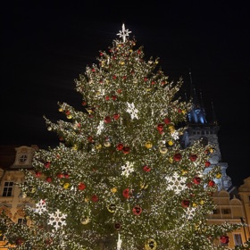 Majestátní jehličnan je vždy bohatě ozdobený a jeho rozsvěcení o prvním adventním víkendu přiláká na pražské Staroměstské náměstí tisíce návštěvníků.