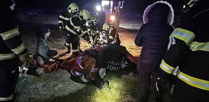 FOTO: Hasiči se během silvestrovské noci pokoušeli zachránit koně. Marně. – stránka 12