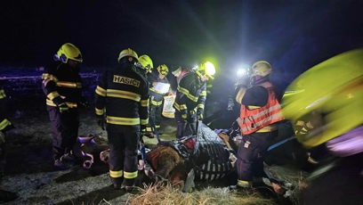 FOTO: Hasiči se během silvestrovské noci pokoušeli zachránit koně.