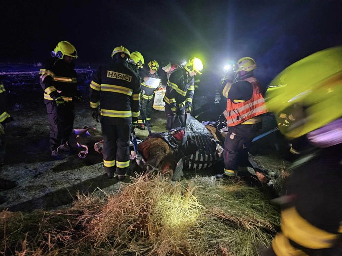 FOTO: Hasiči se během silvestrovské noci pokoušeli zachránit koně. – stránka 13