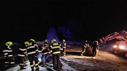 FOTO: Majitelé museli nechat koně utratit.