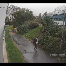 Muž neposkytl první pomoc, může být ale klíčovým svědkem.