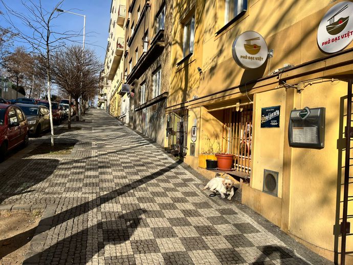 FOTO: Vietnamská restaurace na pražských Vinohradech. – stránka 266