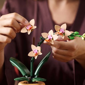 Obdarované dámě jistě udělá radost i čas strávený samotným kreativním tvořením. Výsledkem pak bude květina, která bez péče a starostí vydrží věčně krásná. Lego Botanicals, miniaturní orchidej v květináči, 549 Kč
