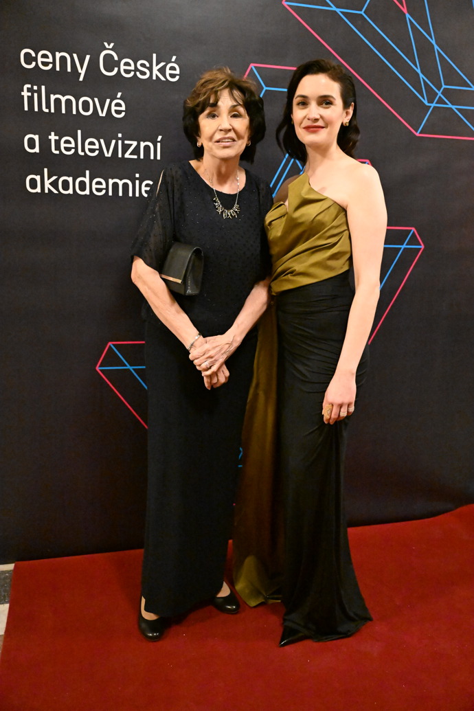 FOTO: Po slavnostním přenosu Českého lva bylo veselo. – stránka 98