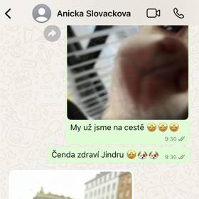 Jindřiška a Čenda si jako dvojice pejsků rozuměli. 