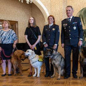 Toby mezi ostatními pejsky, kteří se dostavili pro své ocenění. 