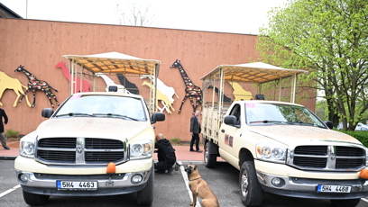 FOTO: Obhlídka policejním psem.