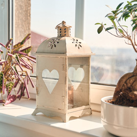 Bonsaji se u Elis Mraz daří, ostatním kytičkám méně.