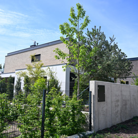 Vypadá to, že i zahrada již zarůstá.