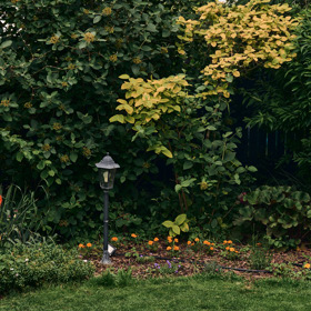 Překrásnou zeleň doplňují barvy nejrůznějších květů.