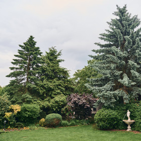 Dům obklopuje rozlehlá zahrada se stromy, které během čtyřiceti let vyrostly až do nebe.