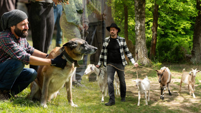 FOTO: Na Farmě se všechno hroutí.