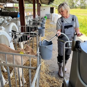 Práce na farmě pro první dámu.