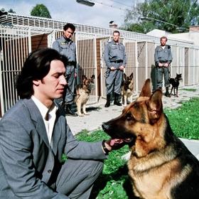 Evropu na jeden čas zachvátila "Rexománie". Začaly se vyrábět žvýkačky s Rexem, alba na sbírání samolepek a další zboží jako kalendáře, pohlednice, knihy a dokonce CD s Rexovým štěkáním.