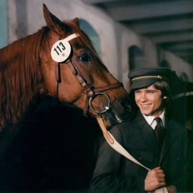 Závodní koně byli pojištění na dva miliony korun.