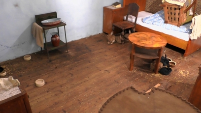 FOTO: Králíci udělali pořádný bordel.