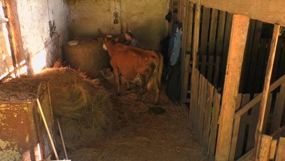 FOTO: Zvířata začínají dělat neplechu.