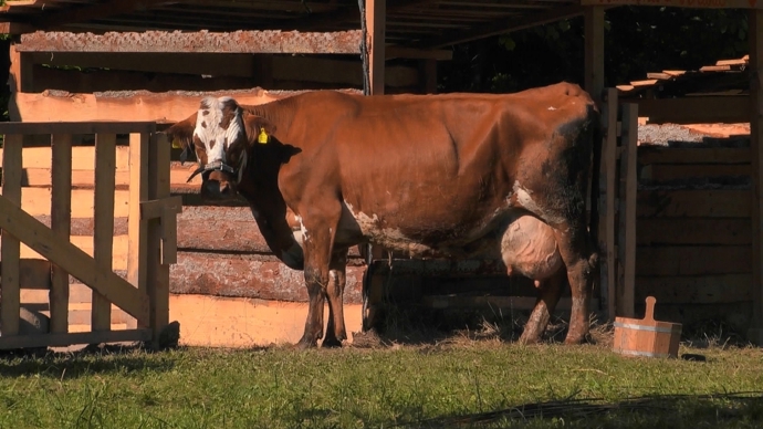 FOTO: Pravá Farma. – stránka 214