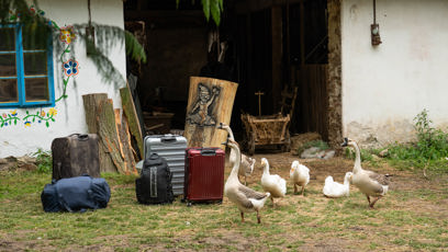 FOTO: Na Farmě se stále něco děje.