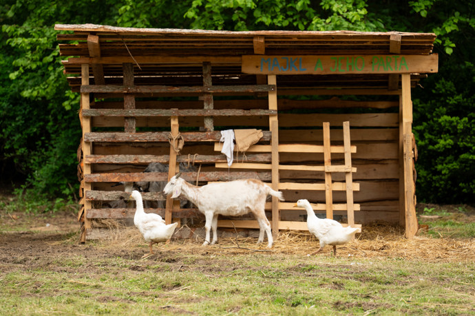 FOTO: Zvířata na Farmě. – stránka 398