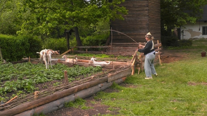 FOTO: Farma Česko – stránka 501