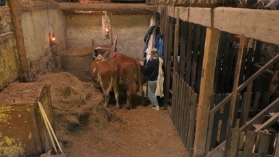 FOTO: Farma Česko