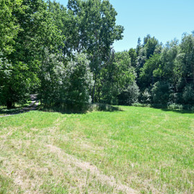 Louka nedaleko místa, které policisté prohledávali.