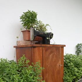 Každý koutek je zaplněný zelení.